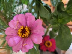 -今日陶艺(富力广场店)