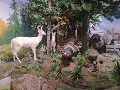 -陕西自然博物馆