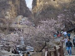 -狼牙山风景区