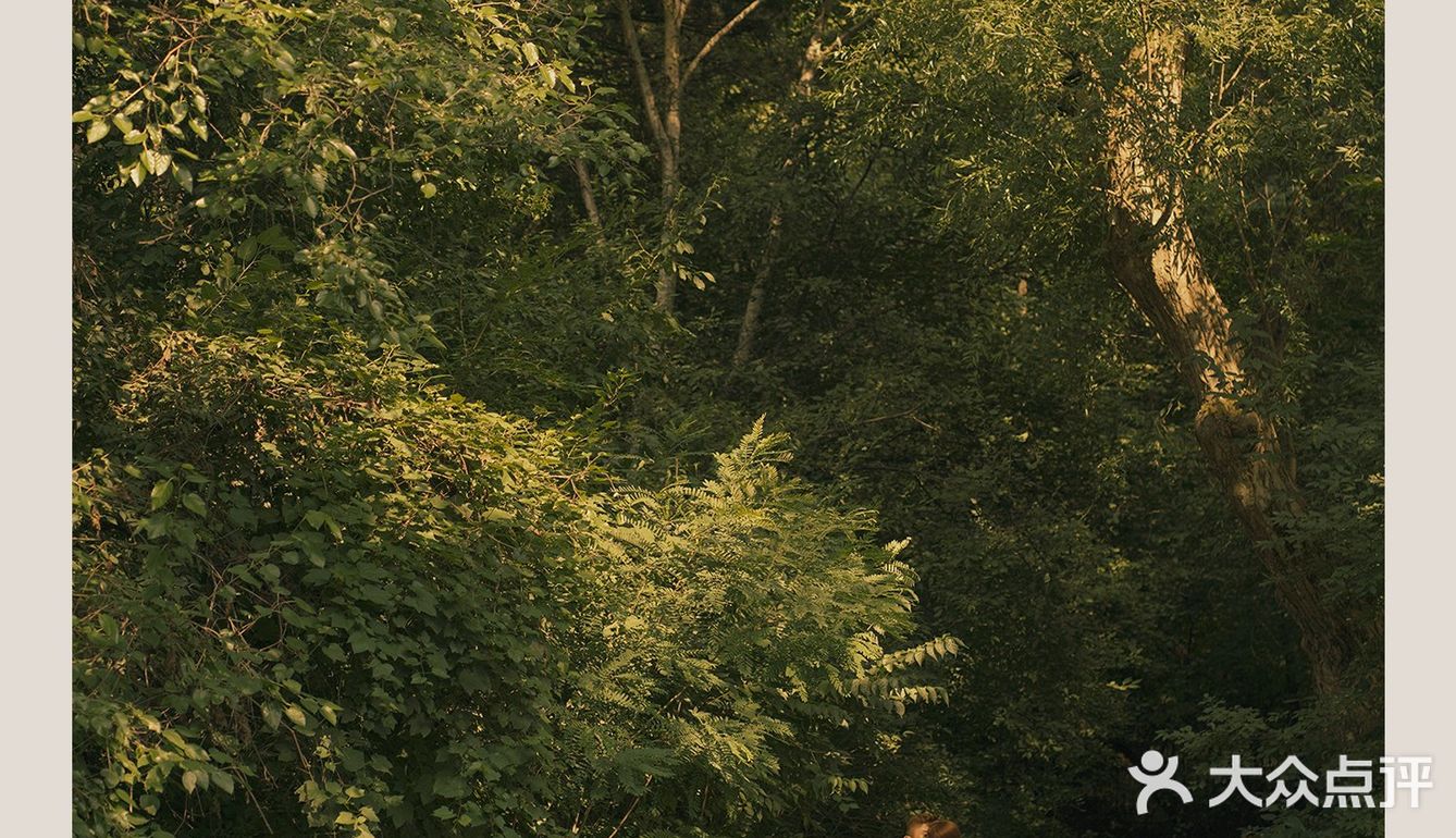 沈阳婚纱照♛我的女王陛下我来啦!