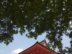 -有栖山 清光院 清水寺