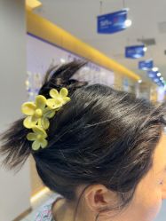 -碧莲盛不剃发植发