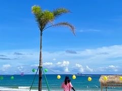 -西涌国际滨海旅游区