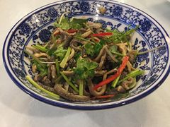 -花家怡园