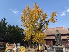 -苏州文庙(姑苏区)
