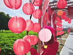 -中国天府农业博览园