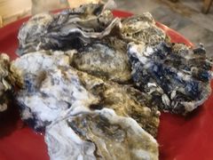 -好伦哥(温都水城店)