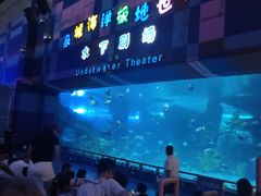 -泉城欧乐堡海洋极地世界