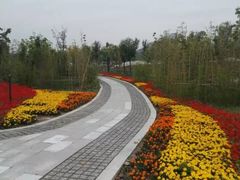 -南湖国家城市湿地公园