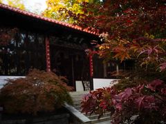 -求雨山文化公园