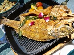 -蜜桃花开·中西融合菜E&W(南长街店)