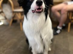 -六阅·福十 FORTEN 海景咖啡西餐厅(双廊古镇店)