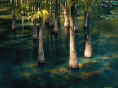 -麓湖高尔夫球俱乐部