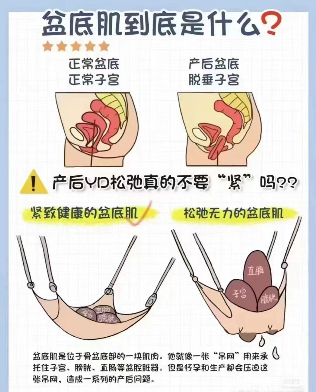 形容生动的盆底肌 ​每位女性都应该了解