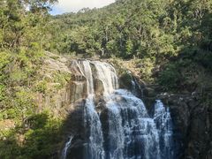 -海南热带雨林国家公园吊罗山景区