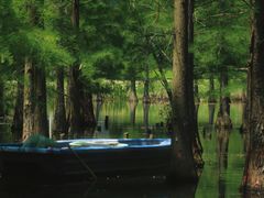 -白鹭湾湿地公园