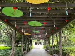 -白马涧龙池景区