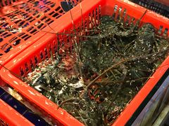 -79号渔船海鲜饭店(华强北店)