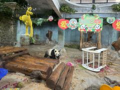 -海南热带野生动植物园