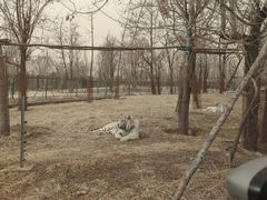 -秦皇岛野生动物园