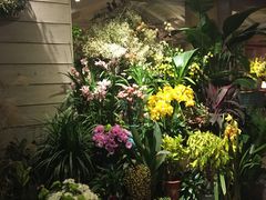 -春暖花开(西溪店)