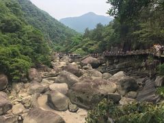 -九鲤湖风景区