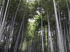 -杭州黄龙洞