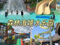 -广州融创水世界