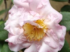 -恩宁刘福记(东华东路店)