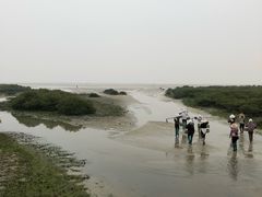 -北海金海湾红树林生态旅游区