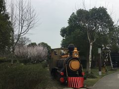 -林妈妈村·日式料理(宝山龙湖天街店)