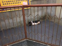 -三肥两瘦烤肉(鹿城店)