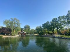 -万柳阁小馆·花园餐厅(龙潭湖店)