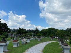 -上海海湾国家森林公园