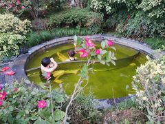 -杭州第一世界大酒店·云曼温泉