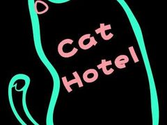 -70cat德文卷毛猫·缅因猫纯种猫舍
