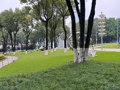 -重庆市江北嘴中央商务区中央公园