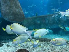 -福州罗源湾海洋世界旅游区
