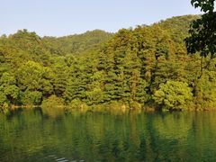 -酒仙湖景区
