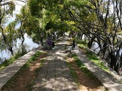-清溪水库