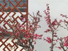 -燕郊植物园