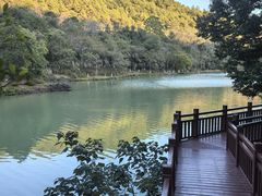 -广州白江湖森林公园