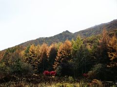 -神农架景区