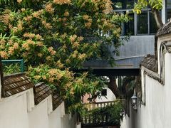 -烟台山景区