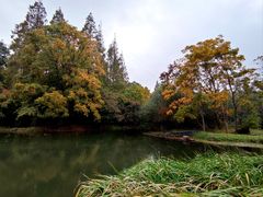 -上海共青森林公园