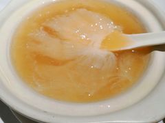 -新同乐鱼翅酒家(美丽华店)