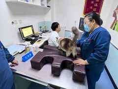 -特一安24小时宠物医院·骨科·中兽医