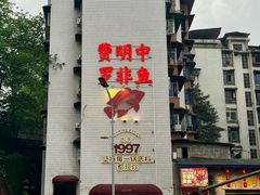 -费明中罗非鱼(大石坝店)