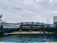 -海合安青岛极地海洋公园