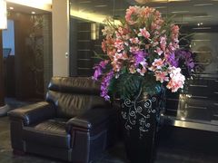 -碧丽宫大酒店(召稼楼店)